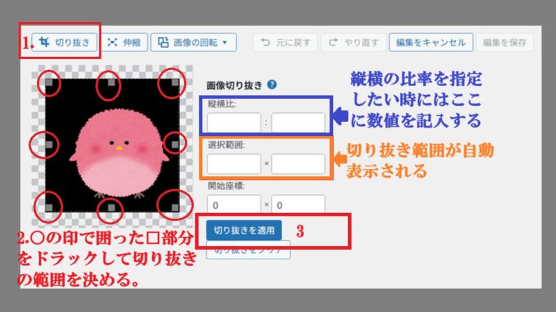 画像の切り抜き-ライブラリ-メディア